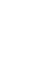 Icono